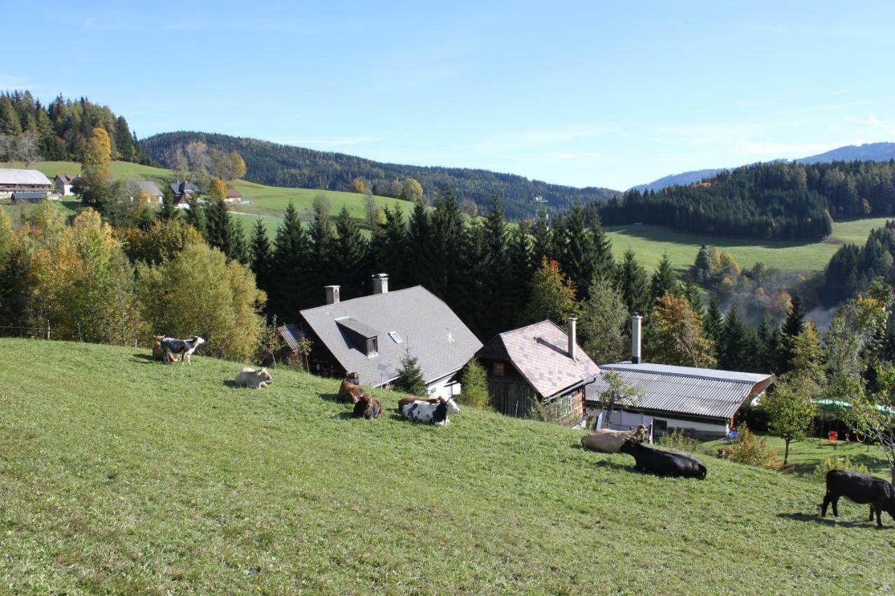 Villa Ferienhaus Pliescherhof Turnau Exterior foto